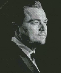 Monochrome Leonardo DiCaprio Diamond Painting