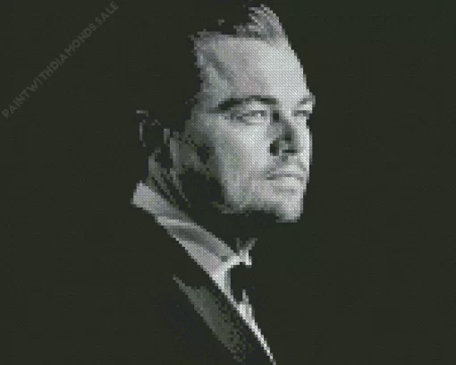 Monochrome Leonardo DiCaprio Diamond Painting