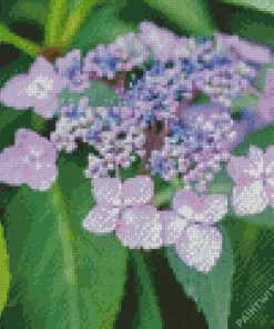 Mountain Hydrangea Diamond Painting