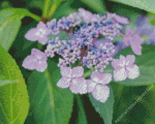 Mountain Hydrangea Diamond Painting