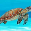 Ocean Sea Turtle Diamond Painting