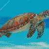 Ocean Sea Turtle Diamond Painting