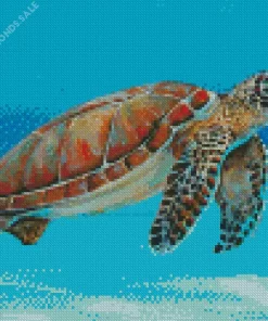 Ocean Sea Turtle Diamond Painting