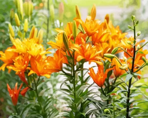 Orange Asiatic Lilies Diamond Painting