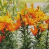 Orange Asiatic Lilies Diamond Painting