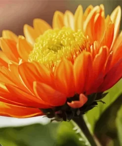 Orange Chrysanthemum Diamond Painting