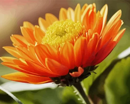 Orange Chrysanthemum Diamond Painting