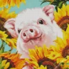 Pig And Sunflowers Diamond Painting