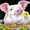 Pig With Flowers Diamond Painting