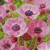 Pink Anemone Flowers Diamond Painting