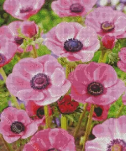 Pink Anemone Flowers Diamond Painting