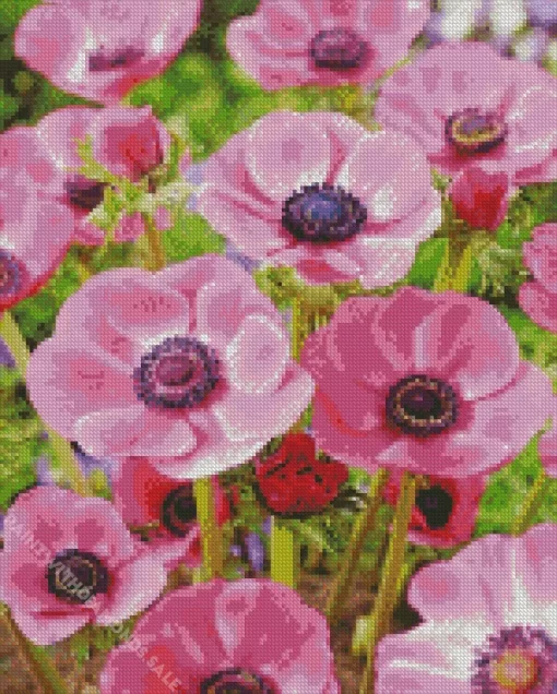 Pink Anemone Flowers Diamond Painting