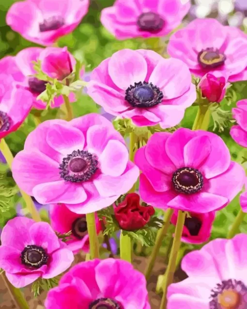 Pink Anemone Flowers Diamond Painting