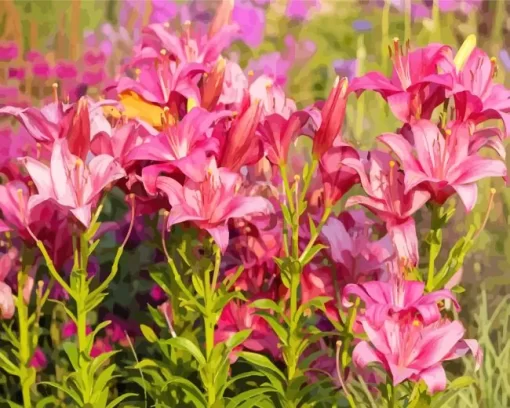 Pink Asiatic Lilies Diamond Painting