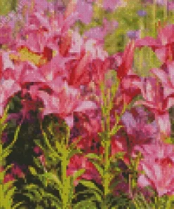 Pink Asiatic Lilies Diamond Painting