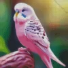 Pink Budgie Diamond Painting