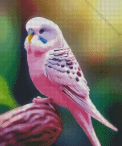 Pink Budgie Diamond Painting