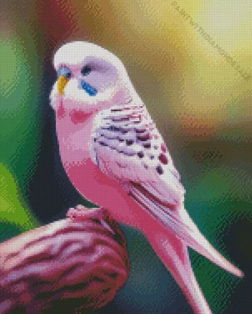 Pink Budgie Diamond Painting