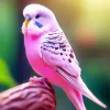 Pink Budgie Diamond Painting