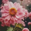 Pink Chrysanthemum Diamond Painting