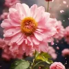 Pink Chrysanthemum Diamond Painting