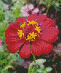 Pink Common Zinnia Diamond Painting