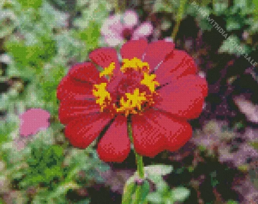 Pink Common Zinnia Diamond Painting