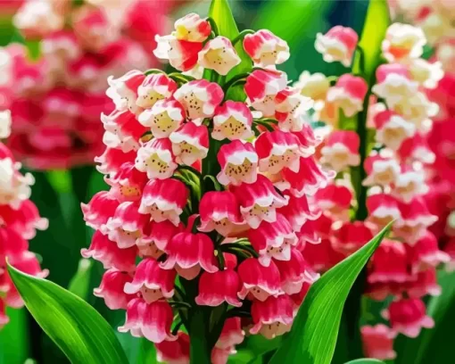 Pink Convallaria Majalis Diamond Painting