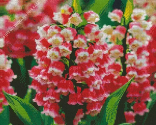 Pink Convallaria Majalis Diamond Painting