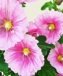 Pink Hollyhock Flower Diamond Painting