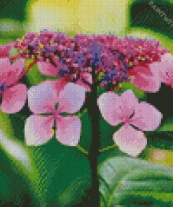 Pink Hydrangea Serrata Diamond Painting