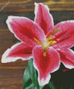 Pink Lilies Diamond Painting