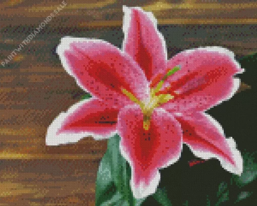 Pink Lilies Diamond Painting