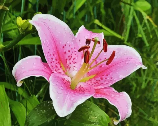 Pink Lilies Flower Diamond Painting