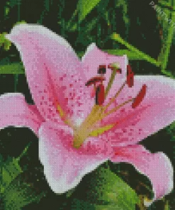 Pink Lilies Flower Diamond Painting