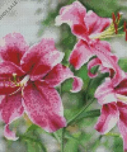 Pink Lily Flower Diamond Painting