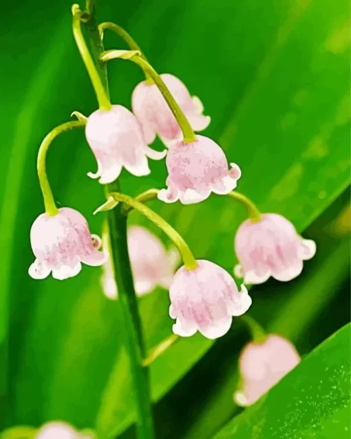 Pink Lily Of The Valley Diamond Painting