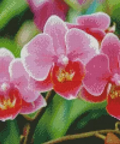 Pink Orchids Diamond Painting