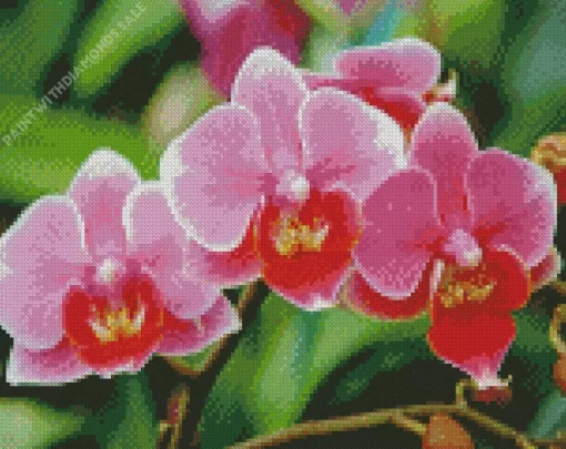 Pink Orchids Diamond Painting