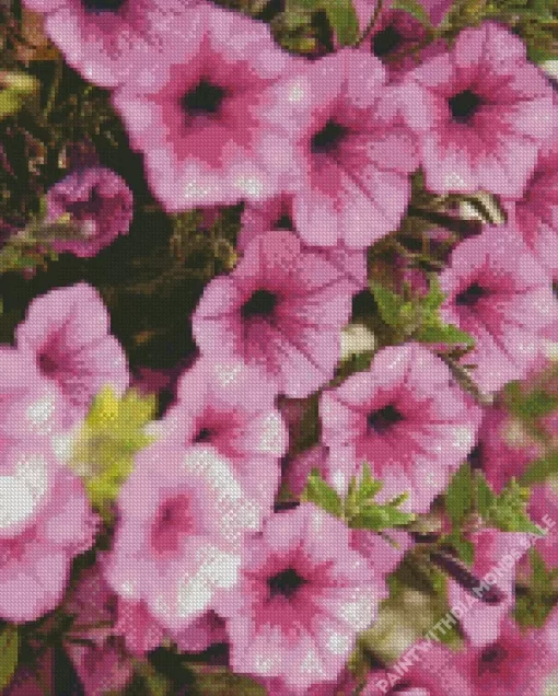 Pink Petunia Flowers Diamond Painting