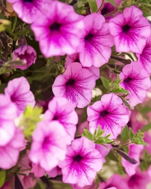 Pink Petunia Flowers Diamond Painting