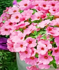 Pink Petunia Pot Diamond Painting