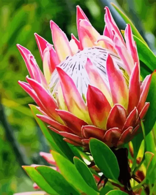 Pink Protea Diamond Painting