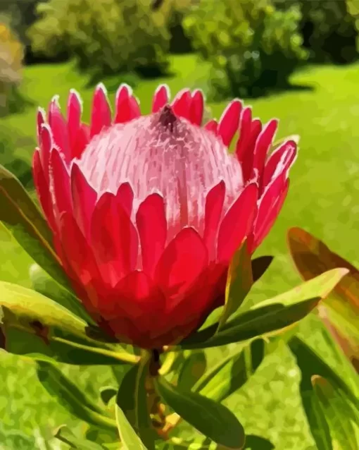 Pink Protea Flower Diamond Painting