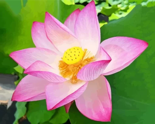 Pink Sacred Lotus Diamond Painting