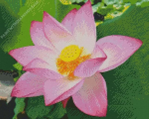 Pink Sacred Lotus Diamond Painting