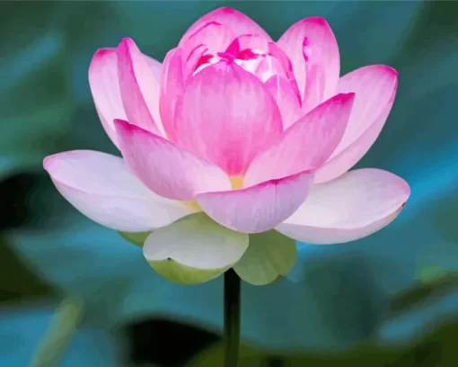 Pink Sacred Lotus Flower Diamond Painting