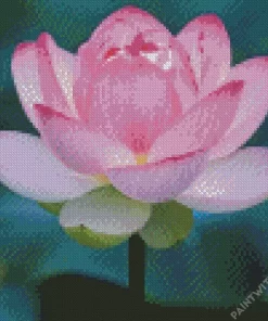 Pink Sacred Lotus Flower Diamond Painting