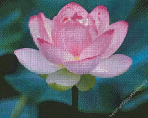 Pink Sacred Lotus Flower Diamond Painting