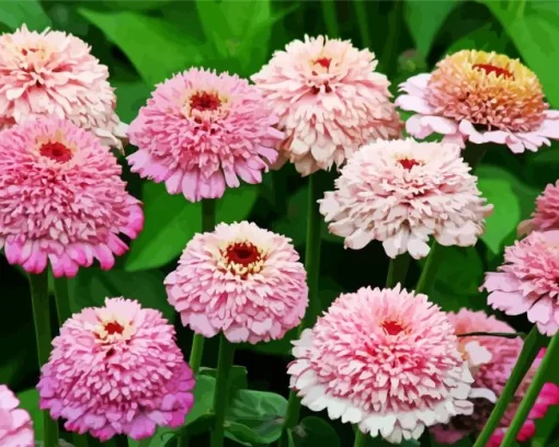 Pink Zinderella Zinnia Diamond Painting